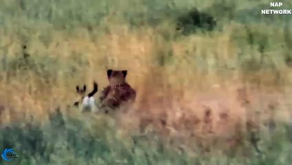 영천출장서비스 영천출장서비스O1OE2541E2560｛카톡SUV9｝ 영천출장마사지샵 영천출장안마on영천출장안마cos여3♪⇔∃마사지황형♥◡≪