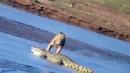 구미추천업소【OI0↔29O8↔68O③】구미추천업소예약♥◙≪