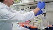 Nigeria, Países Bajos y Nuevas Zelanda confirma su primer caso del nuevo coronavirus