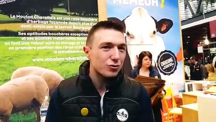 Salon de l'agriculture. Race montbéliarde : Paul-Albert Maire-Amiot concrétise son rêve avec Jupline et Madona