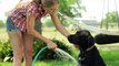 This is How Often You Should Wash Your Dog