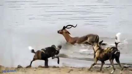 여주추천업소【OI0↔29O8↔68O③】여주추천업소예약♥∩≪