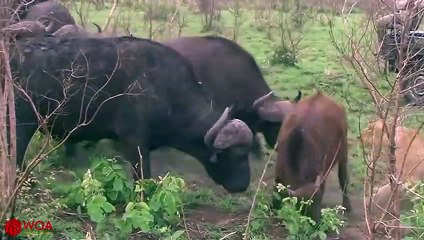 양양출장서비스 양양출장서비스O1Og4838g4959｛카톡NET47｝ 양양출장마사지샵 양양출장안마on양양출장안마cos여3♪⇔∃마사지황형♥⊀≪