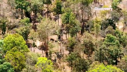 Intro the Wild with Bear Grylls - Ecitytv