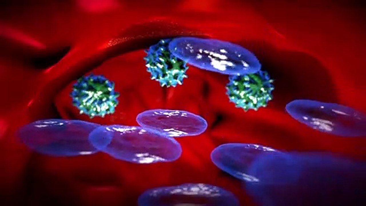 Videografik: So wirken Impfungen