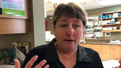 Des chats stérilisés bénévolement dans une clinique à Mercier