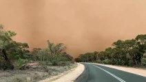 Il roule à travers une tempête de sable... Mad Max !