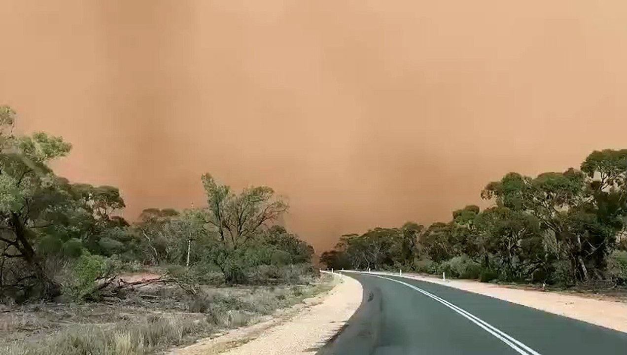 Il roule à travers une tempête de sable... Mad Max !