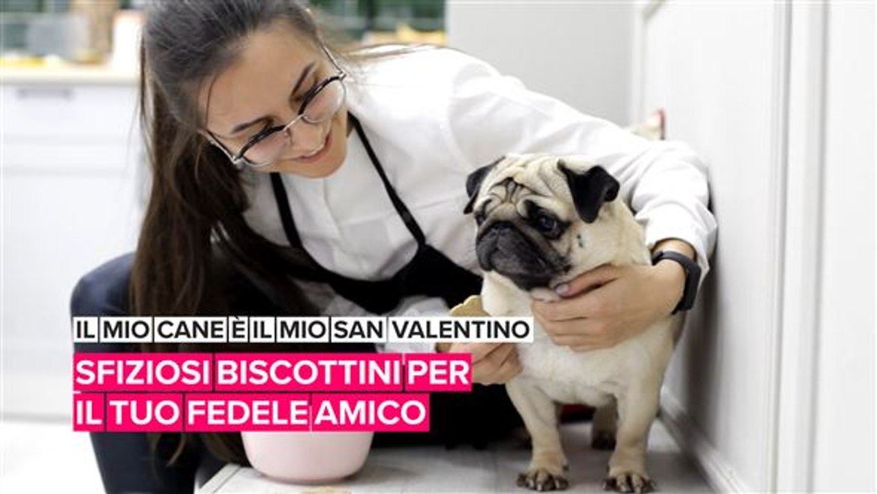 Il mio cane è il mio San Valentino: sfiziosi biscottini per il tuo fedele amico