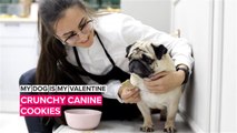 My Dog is My Valentine: Make canine cookies for your bestie