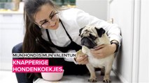 Maak de beste hondenkoekjes voor je viervoeter