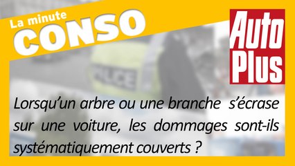 Assurance auto : dégâts causés par la tempête