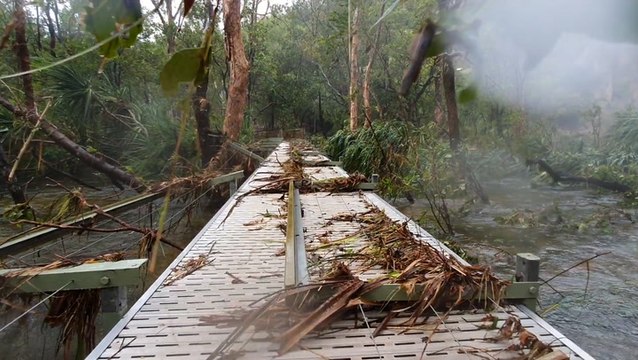 National park damaged after heavy rainfall and flooding
