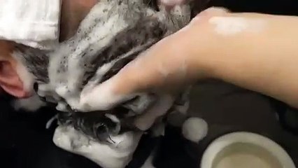 동구출장서비스 동구출장서비스O1OE6579E3382｛카톡VS67｝ 동구출장마사지샵 동구출장안마on동구출장안마cos여3♪⇔∃마사지황형♥⊊≪