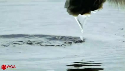 동구추천업소【OI0↔29O8↔68O③】동구추천업소예약♥⊎≪