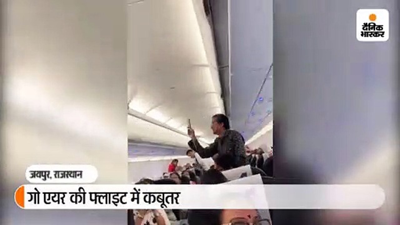 गो एयर की फ्लाइट में टेक ऑफ के दौरान घुसा कबूतर...