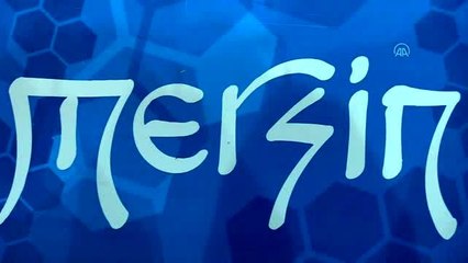 Türkiye Cimnastik Şampiyonası başladı