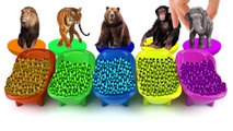 Kids Funny Cartoon - #ZOO Safari Toys Wrong Heads Learn Colors With Bathtubs And Beads Colorful Finger Paints paint