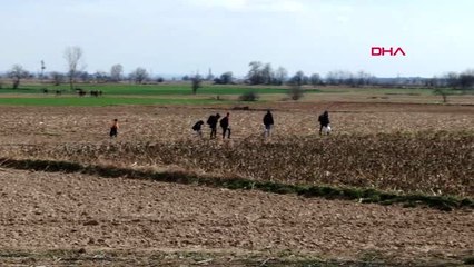 Pazarkule kapısına yürüyen göçmenler havadan görüntülendi