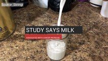 Milk Associated With Increase In Cancer