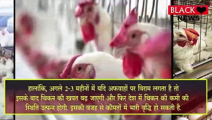जानिए क्यों देश में 70% तक सस्ता हुआ Chicken, खपत में भी आई 50% की कमी