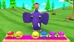 Learn Colors With Animal - Colors for Children to Learn with Cartoon Dolphins Color Water 3D Kids Toddler Babies Learn Colors