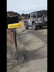 Parcel Delivery Man Shows His Enthusiasm