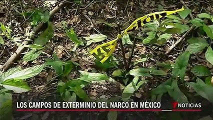 Descubren campos de exterminio de los narcos en México