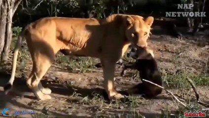 홍대출장서비스 홍대출장서비스O1OE6579E3382｛카톡VS67｝ 홍대출장마사지샵 홍대출장안마on홍대출장안마cos여3♪⇔∃마사지황형♥∈≪