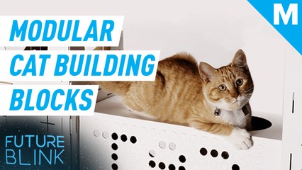 Create your cat’s dream playhouse with these modular building blocks — Future Blink