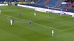 Grenoble keeper concedes comical goal by throwing into his own net