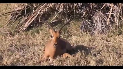 순천출장서비스 순천출장서비스O1Og2143g9131｛카톡KOM88｝ 순천출장마사지샵 순천출장안마on순천출장안마cos여3♪⇔∃마사지황형♥∸≪