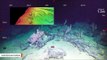 Coral Gardens Discovered In Submarine Canyons Off Australia