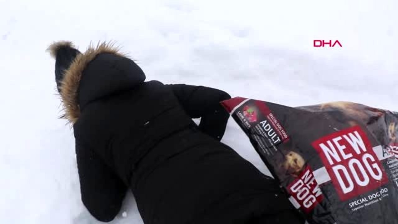 Sivas köylülerin kayak keyfi