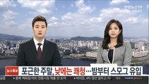 [날씨] 포근한 주말, 낮에는 쾌청…밤부터 스모그 유입