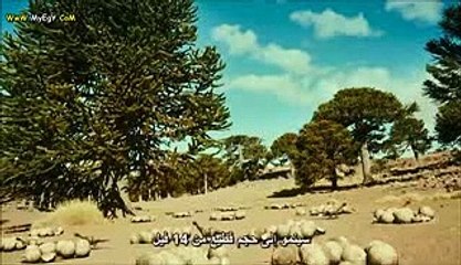 الارض قبل مئة مليون سنة وكيف انقرضت الديناصورات! Dinosaurs Extinction