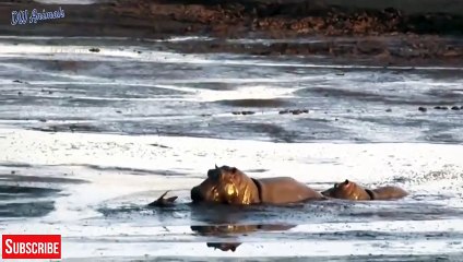 구미출장서비스 구미출장서비스O1OE9914E7203｛카톡MOK8｝ 구미출장마사지샵 구미출장안마on구미출장안마cos여3♪⇔∃마사지황형♥≗≪