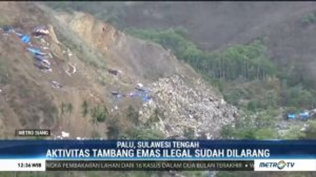 Ratusan Hektar Taman Hutan Raya Sulteng Rusak Akibat Aktivitas Tambang Ilegal