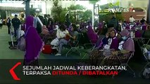 Segini Kerugian Travel Yang Dialami Travel Umrah