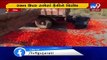 Fumed over unfair prices, farmers throw tomatoes on road in Thasra, Kheda