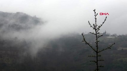 Kocaeli yuvacık barajı doldu, kapaklar açıldı