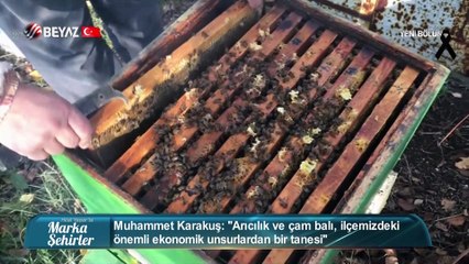 Marka Şehirler 29 Şubat 2020