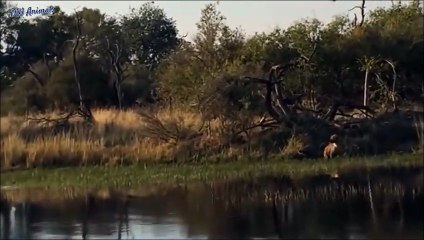 천안추천업소【OI0↔29O8↔68O③】천안추천업소예약♥⊉≪