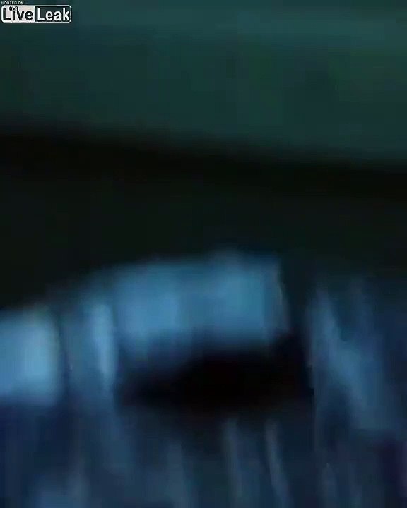 Chassées d'un jardin au jet d'eau : elles voulaient pisser en fin de soirée !