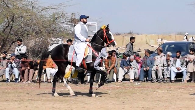 Neza Bazi ! Tent Pegging ! Highlights ! Madrota Attock, Punjab Pakistan