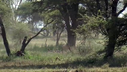 연제출장서비스 연제출장서비스O1OE2541E2560｛카톡YTN9｝ 연제출장마사지샵 연제출장안마on연제출장안마cos여3♪⇔∃마사지황형♥≋≪