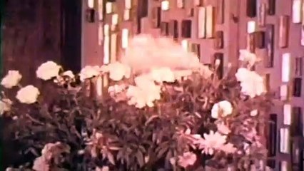 "Sweet Georgia Brown" — THE ROGER STEFANI DANCERS