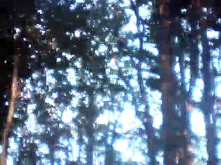 down in the valley electric bass