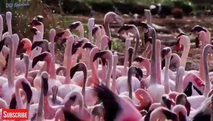 경산출장서비스 경산출장서비스O1Og2154g6609｛카톡LOT45｝ 경산출장마사지샵 경산출장안마on경산출장안마cos여3♪⇔∃마사지황형♥⊌≪