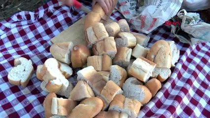 Edirne-tekirdağ'dan gelerek göçmenlere çorba dağıttı